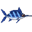 Le Vieux Bleu, marlin de la mer de Corail